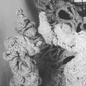 12519245_521649098003877_739791612_n