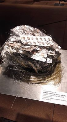 14484649_1188122641258406_3740136606727996431_n