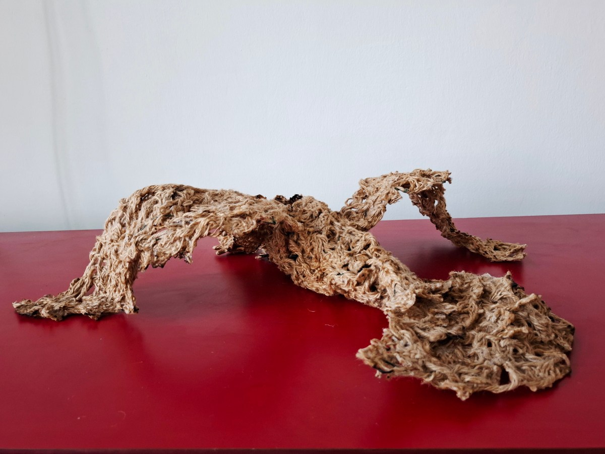 Devyah – project&nbsp;context