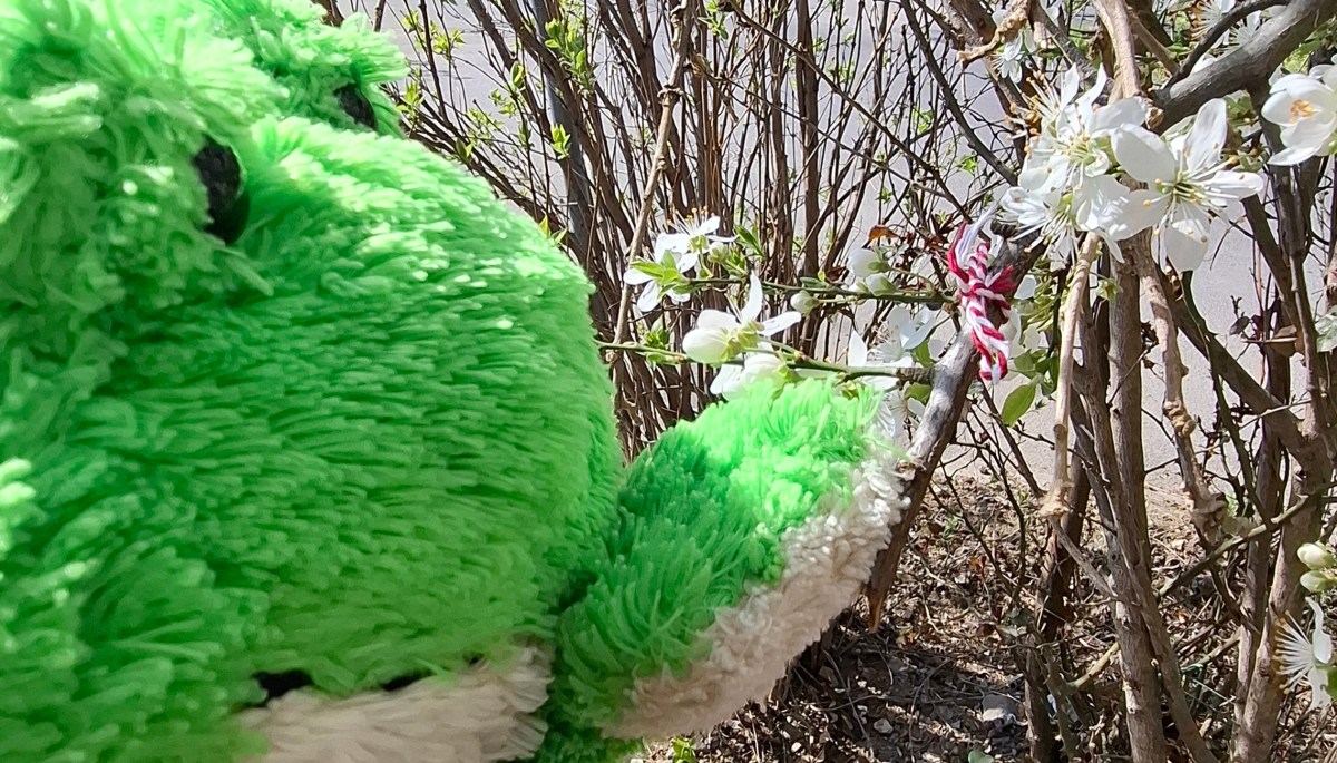 Is samsāra a bad&nbsp;thing?