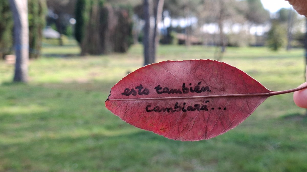 5 things I learned in my Vipassana “vacation”
